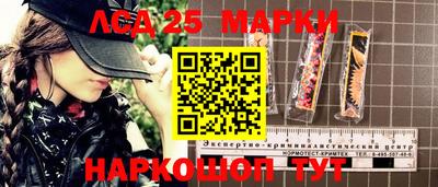 a pvp Свободный