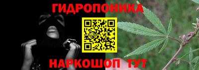 a pvp Свободный