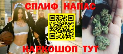 a pvp Свободный