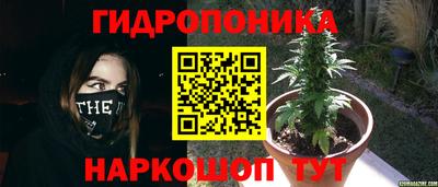 прущие грибы Севастополь