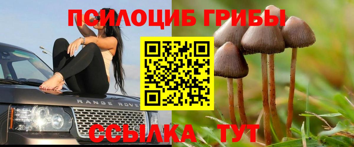 Галлюциногенные грибы GOLDEN TEACHER  Вход с VPN  Серов 